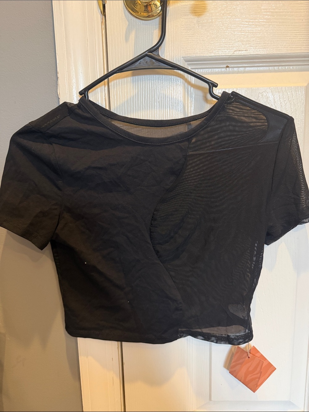 SHEIN Black Sheer Panel Short Sleeve Crop Top